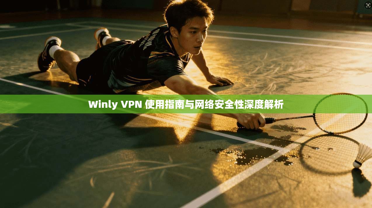 Winly VPN 使用指南与网络安全性深度解析
