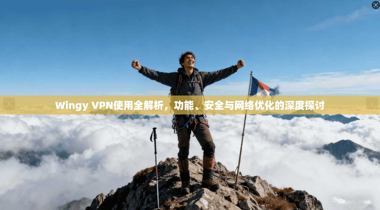 Wingy VPN使用全解析，功能、安全与网络优化的深度探讨