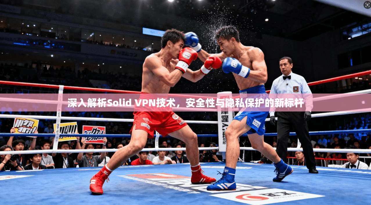 深入解析Solid VPN技术，安全性与隐私保护的新标杆