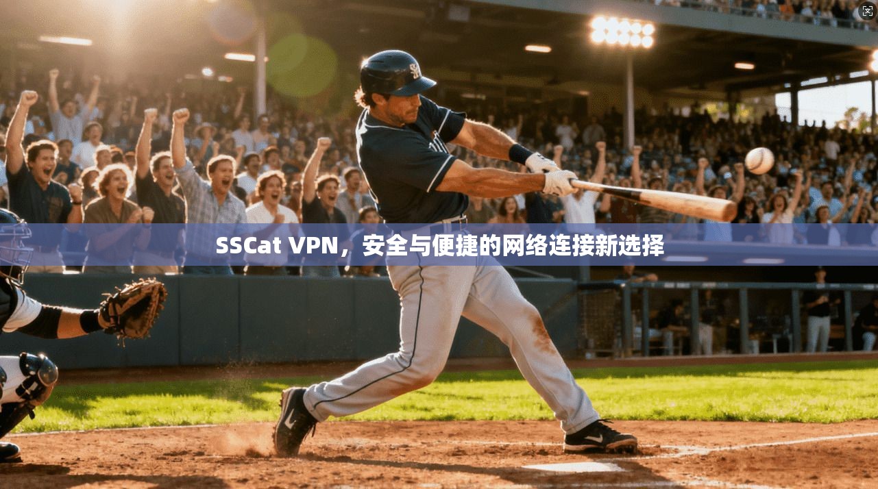 SSCat VPN，安全与便捷的网络连接新选择