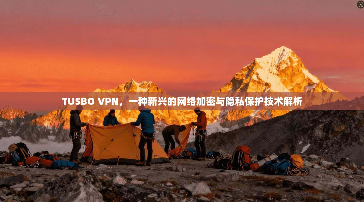 TUSBO VPN，一种新兴的网络加密与隐私保护技术解析