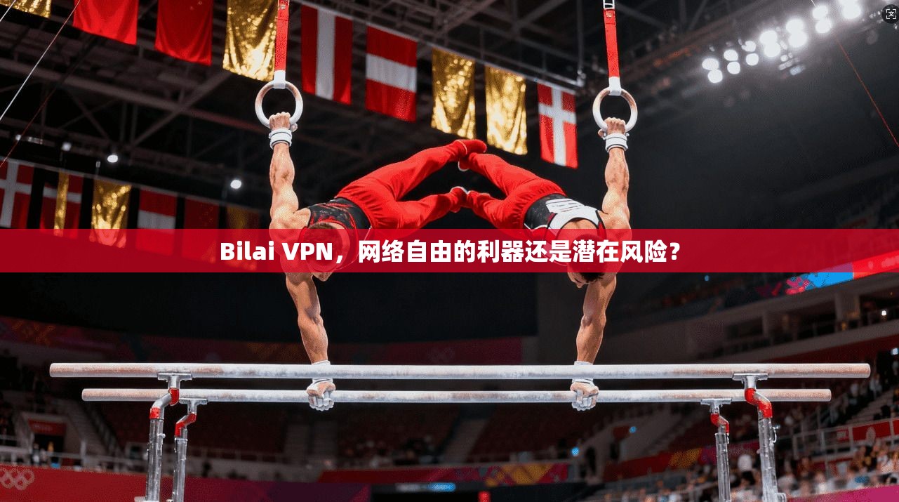 Bilai VPN，网络自由的利器还是潜在风险？