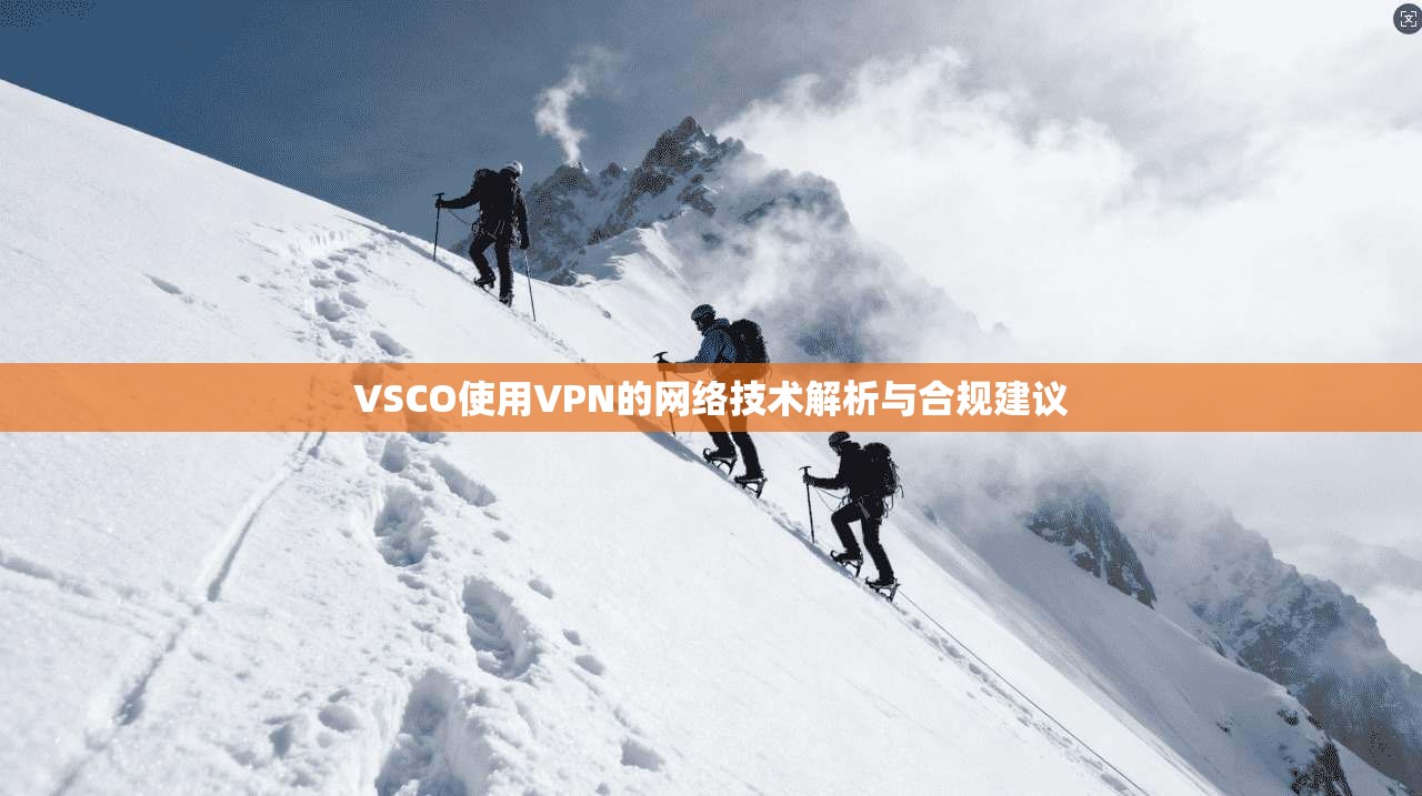 VSCO使用VPN的网络技术解析与合规建议