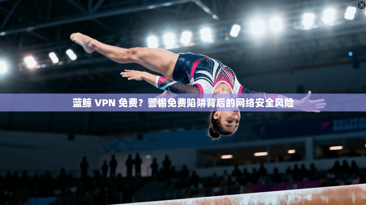 蓝鲸 VPN 免费？警惕免费陷阱背后的网络安全风险