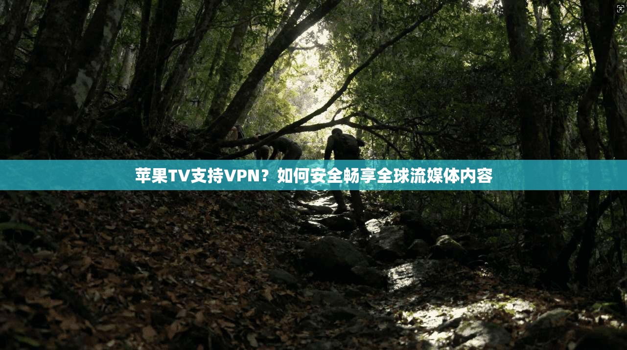 苹果TV支持VPN？如何安全畅享全球流媒体内容