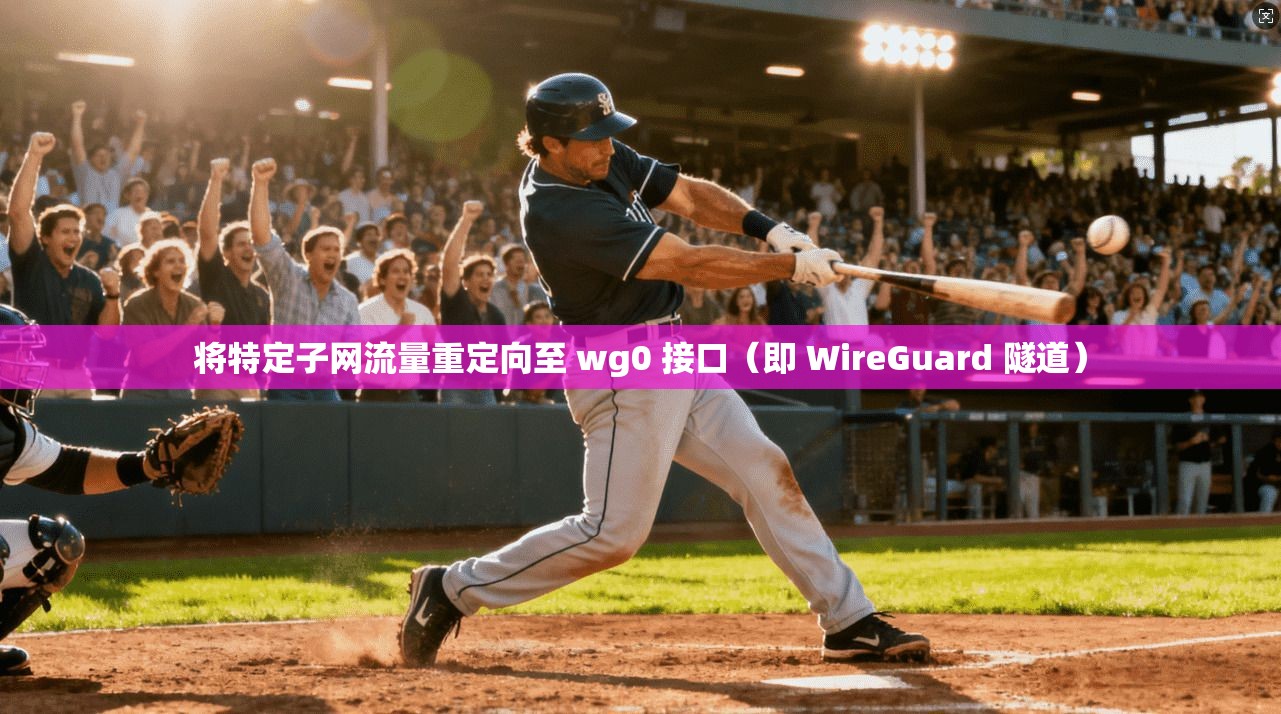 将特定子网流量重定向至 wg0 接口（即 WireGuard 隧道）