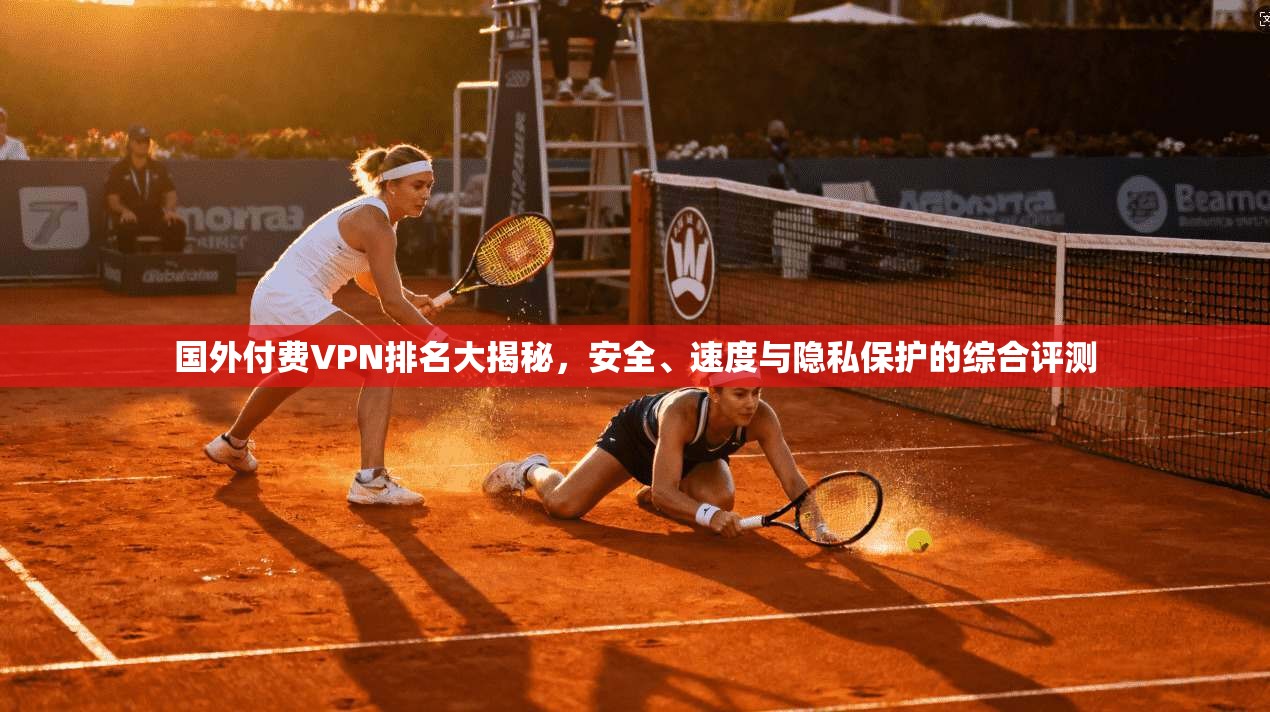 国外付费VPN排名大揭秘，安全、速度与隐私保护的综合评测
