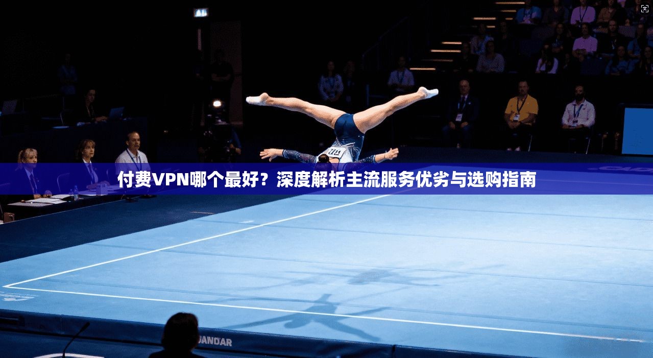 付费VPN哪个最好？深度解析主流服务优劣与选购指南