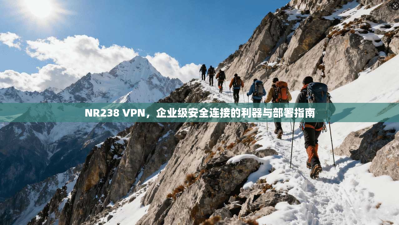 NR238 VPN，企业级安全连接的利器与部署指南