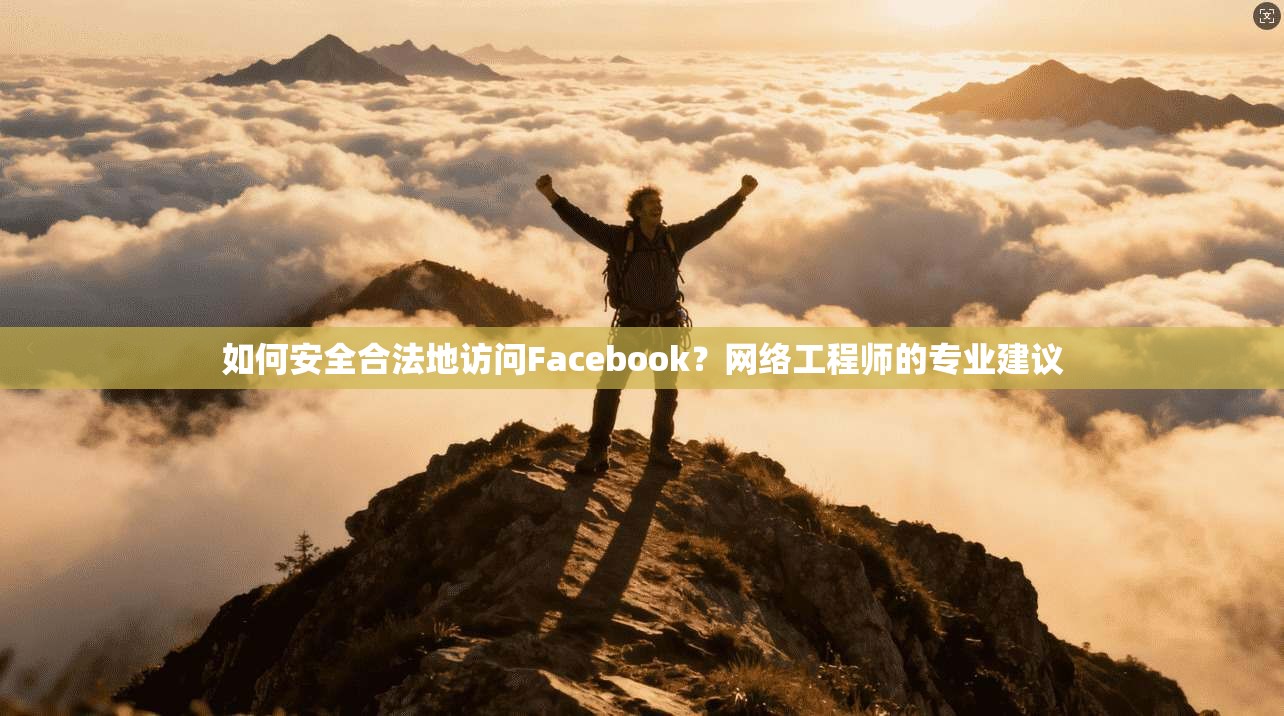 如何安全合法地访问Facebook？网络工程师的专业建议