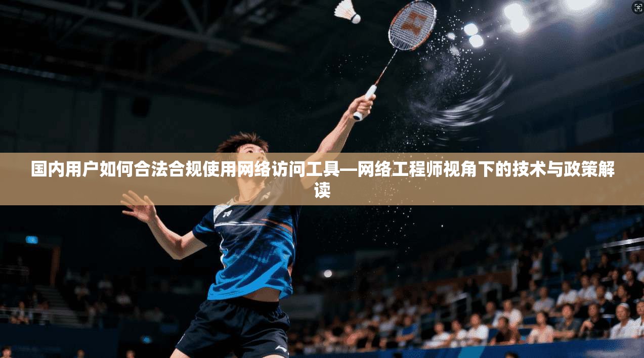 国内用户如何合法合规使用网络访问工具—网络工程师视角下的技术与政策解读