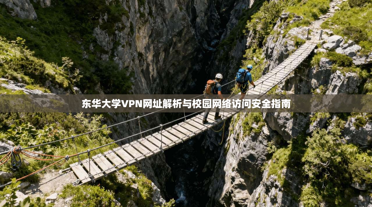 东华大学VPN网址解析与校园网络访问安全指南