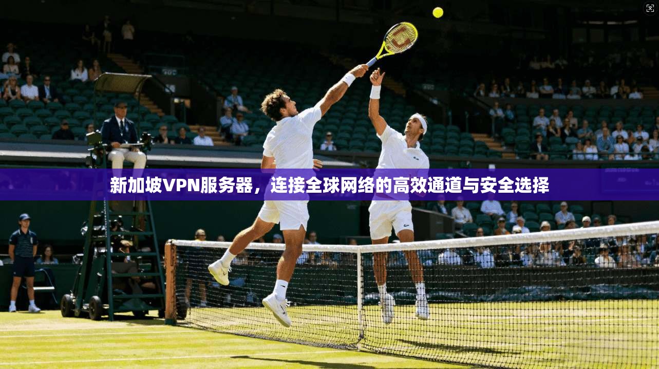 新加坡VPN服务器，连接全球网络的高效通道与安全选择