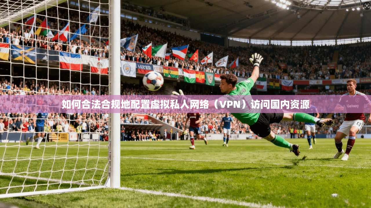 如何合法合规地配置虚拟私人网络（VPN）访问国内资源
