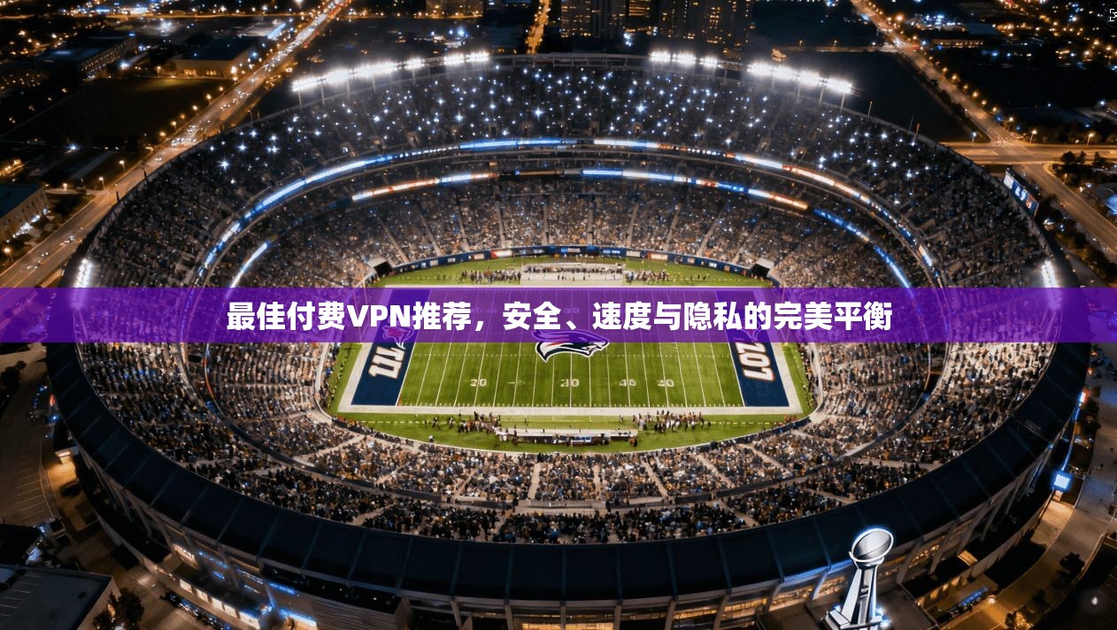 最佳付费VPN推荐，安全、速度与隐私的完美平衡