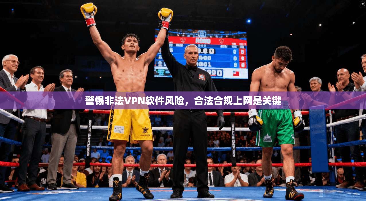 警惕非法VPN软件风险，合法合规上网是关键