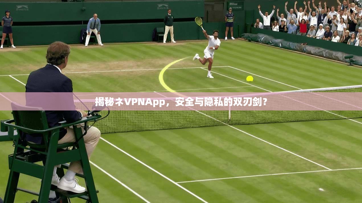 揭秘ネVPNApp，安全与隐私的双刃剑？