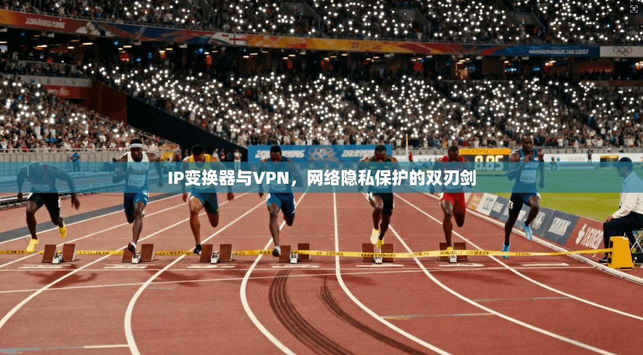 IP变换器与VPN，网络隐私保护的双刃剑
