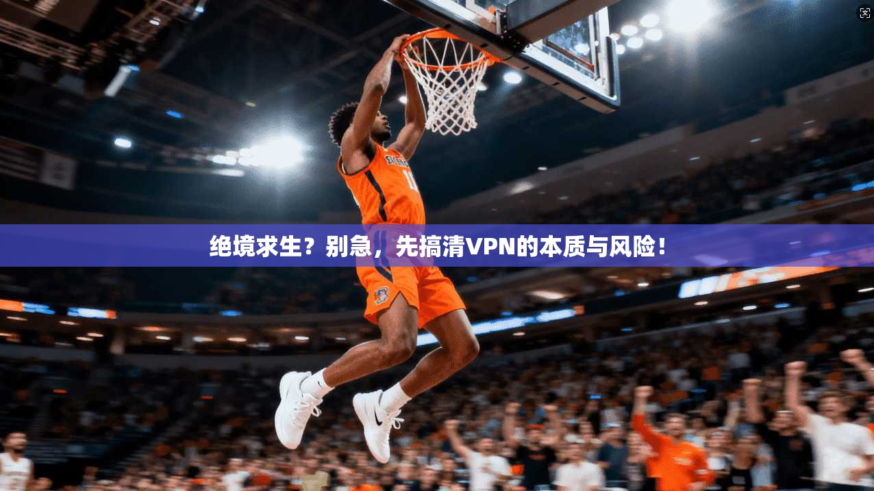 绝境求生？别急，先搞清VPN的本质与风险！