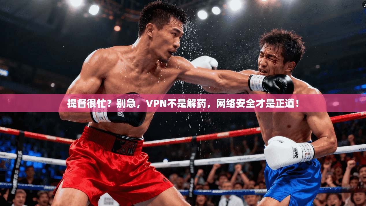 提督很忙？别急，VPN不是解药，网络安全才是正道！