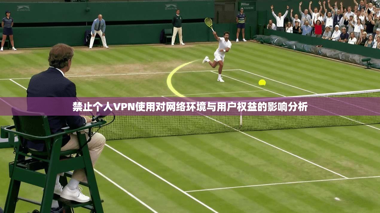 禁止个人VPN使用对网络环境与用户权益的影响分析