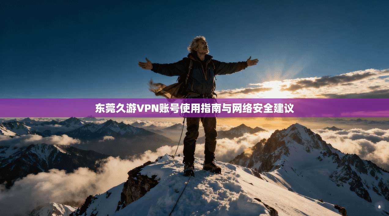 东莞久游VPN账号使用指南与网络安全建议