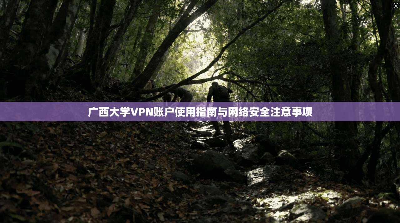 广西大学VPN账户使用指南与网络安全注意事项