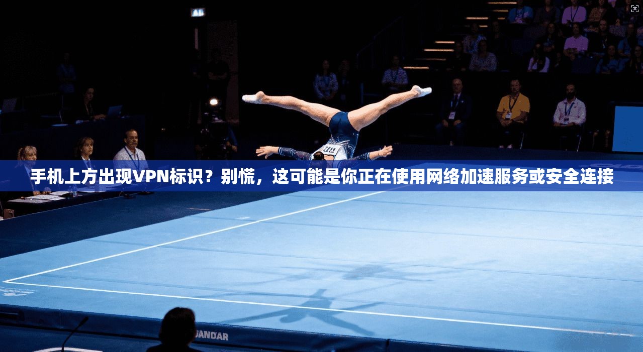 手机上方出现VPN标识？别慌，这可能是你正在使用网络加速服务或安全连接