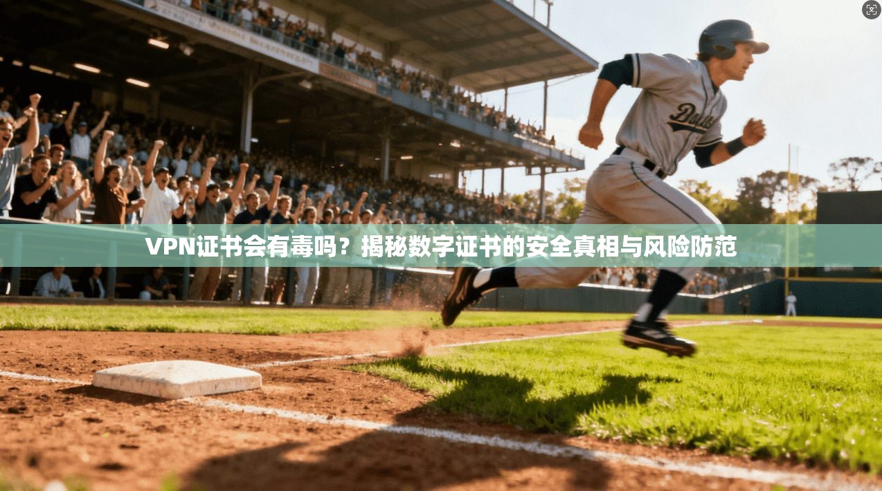 VPN证书会有毒吗？揭秘数字证书的安全真相与风险防范