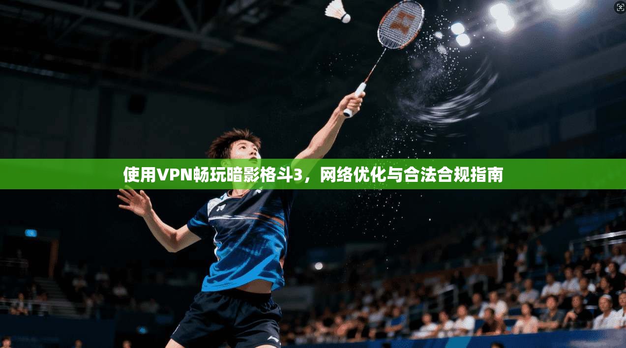 使用VPN畅玩暗影格斗3，网络优化与合法合规指南