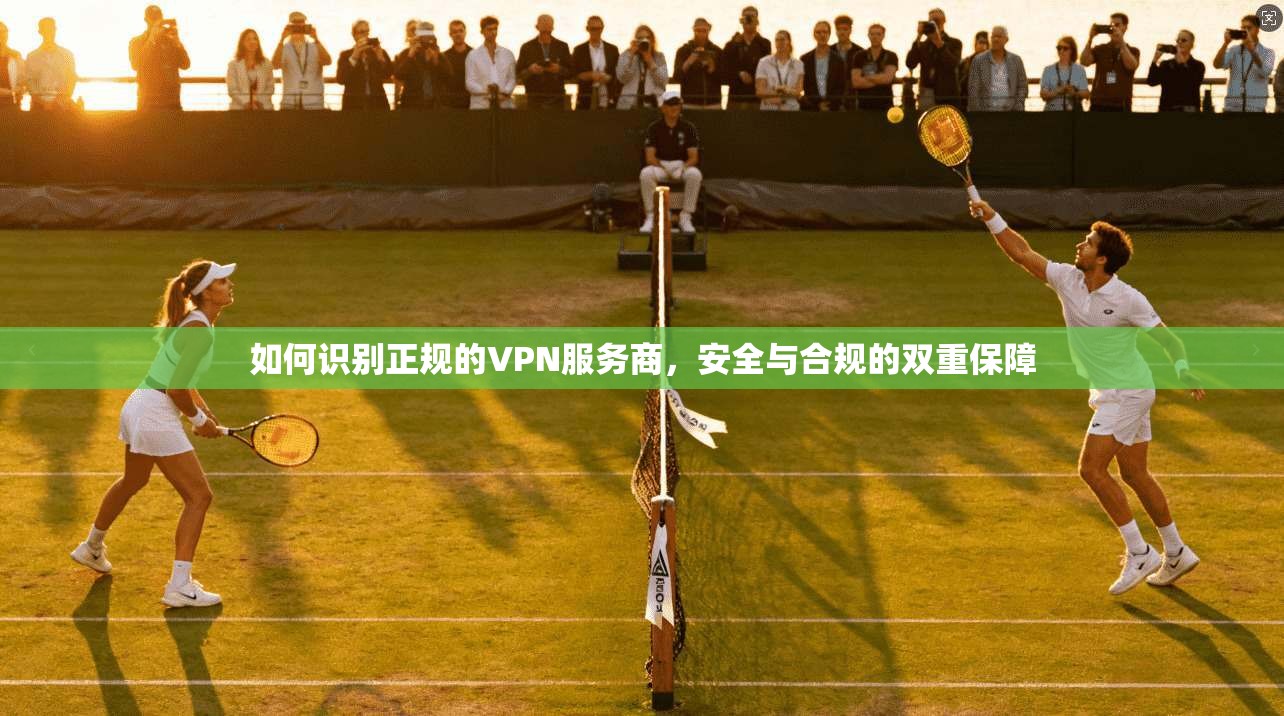 如何识别正规的VPN服务商，安全与合规的双重保障
