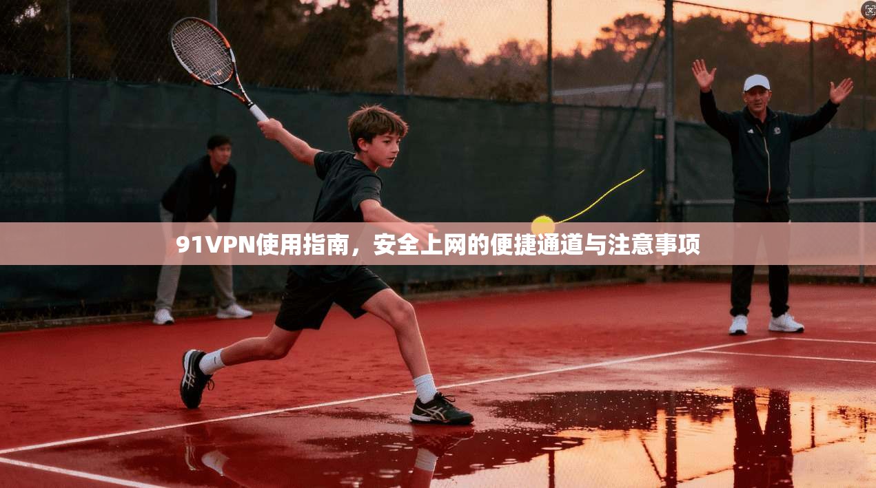 91VPN使用指南，安全上网的便捷通道与注意事项