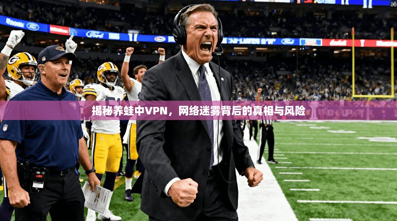 揭秘养蛙中VPN，网络迷雾背后的真相与风险