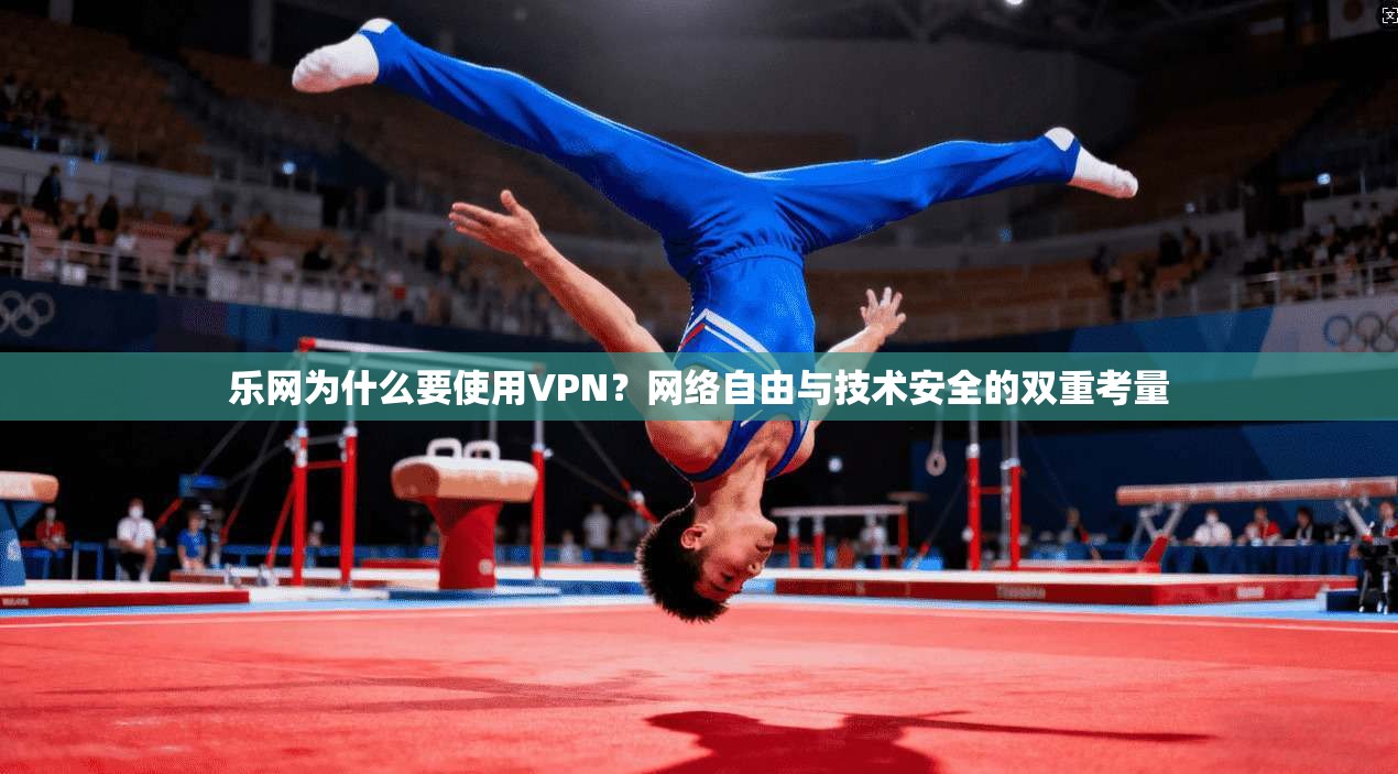 乐网为什么要使用VPN？网络自由与技术安全的双重考量