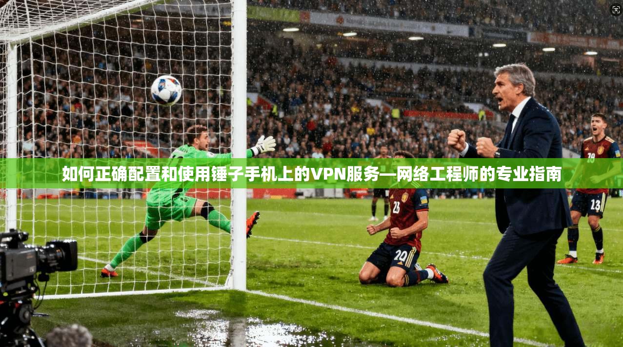 如何正确配置和使用锤子手机上的VPN服务—网络工程师的专业指南