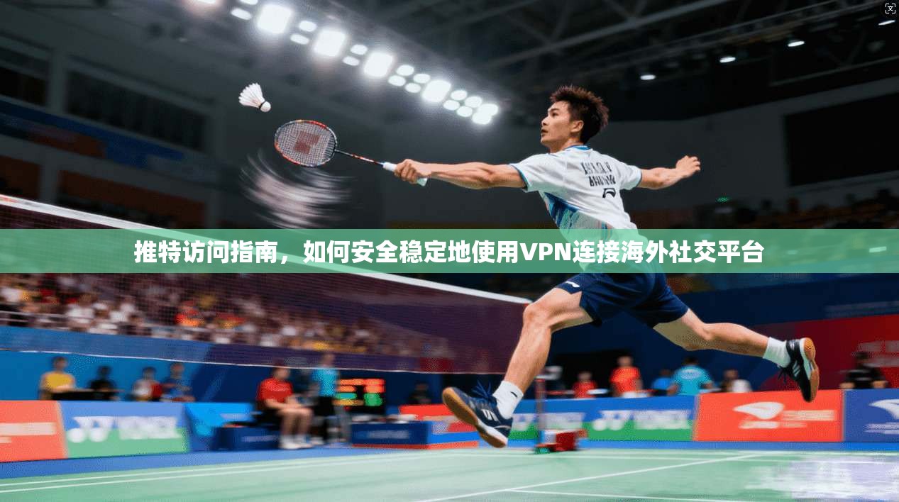 推特访问指南，如何安全稳定地使用VPN连接海外社交平台
