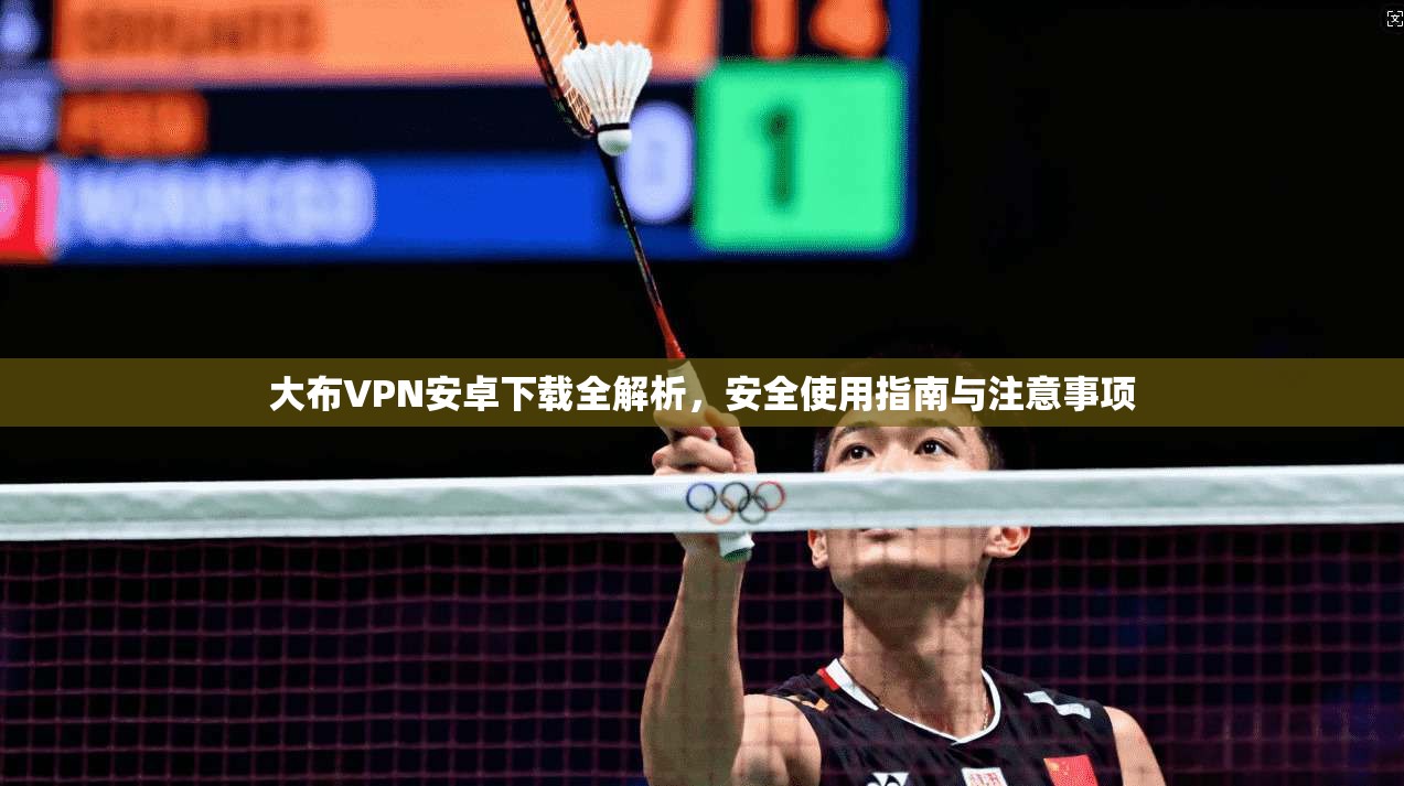 大布VPN安卓下载全解析，安全使用指南与注意事项