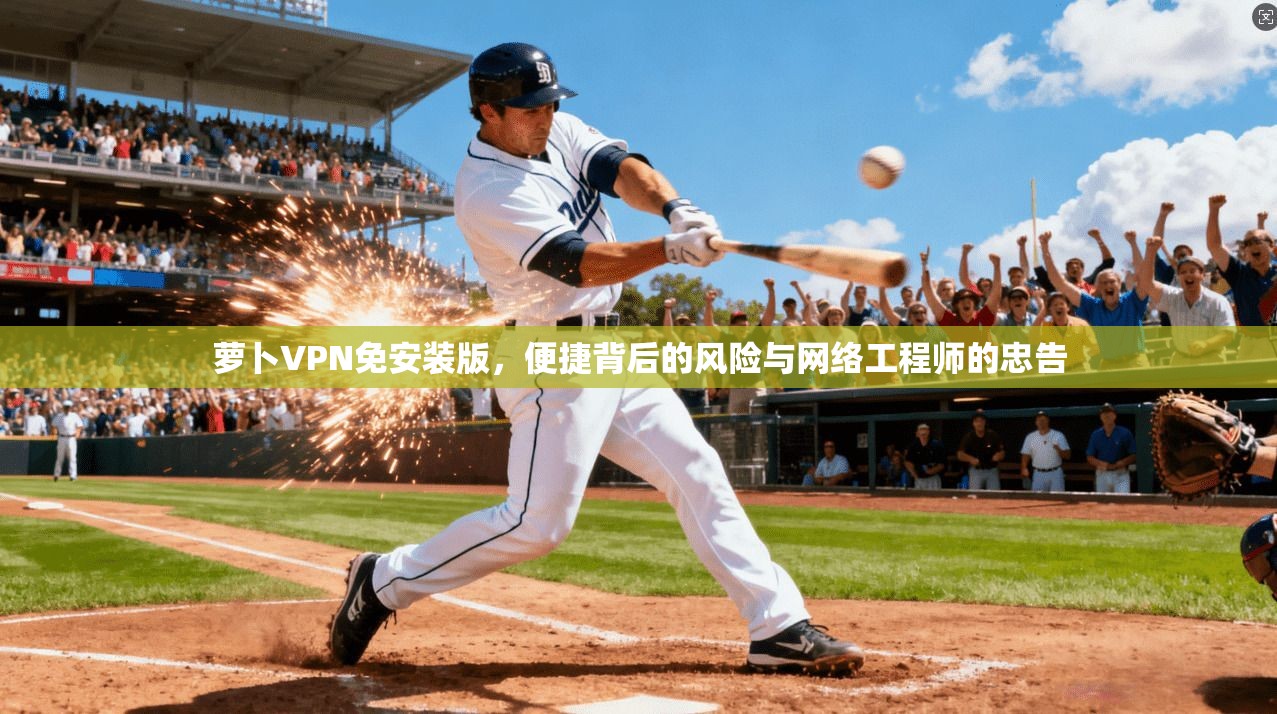 萝卜VPN免安装版，便捷背后的风险与网络工程师的忠告