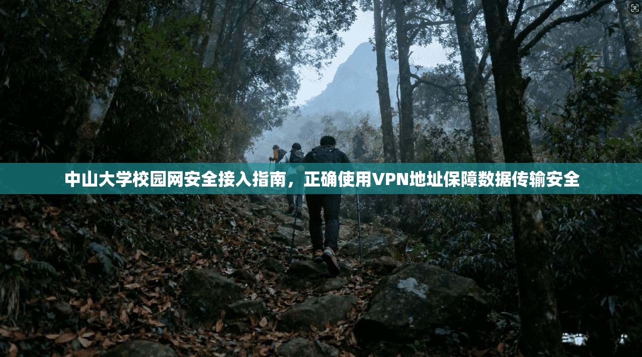 中山大学校园网安全接入指南，正确使用VPN地址保障数据传输安全