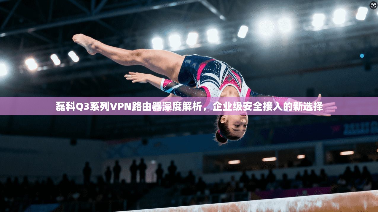 磊科Q3系列VPN路由器深度解析，企业级安全接入的新选择