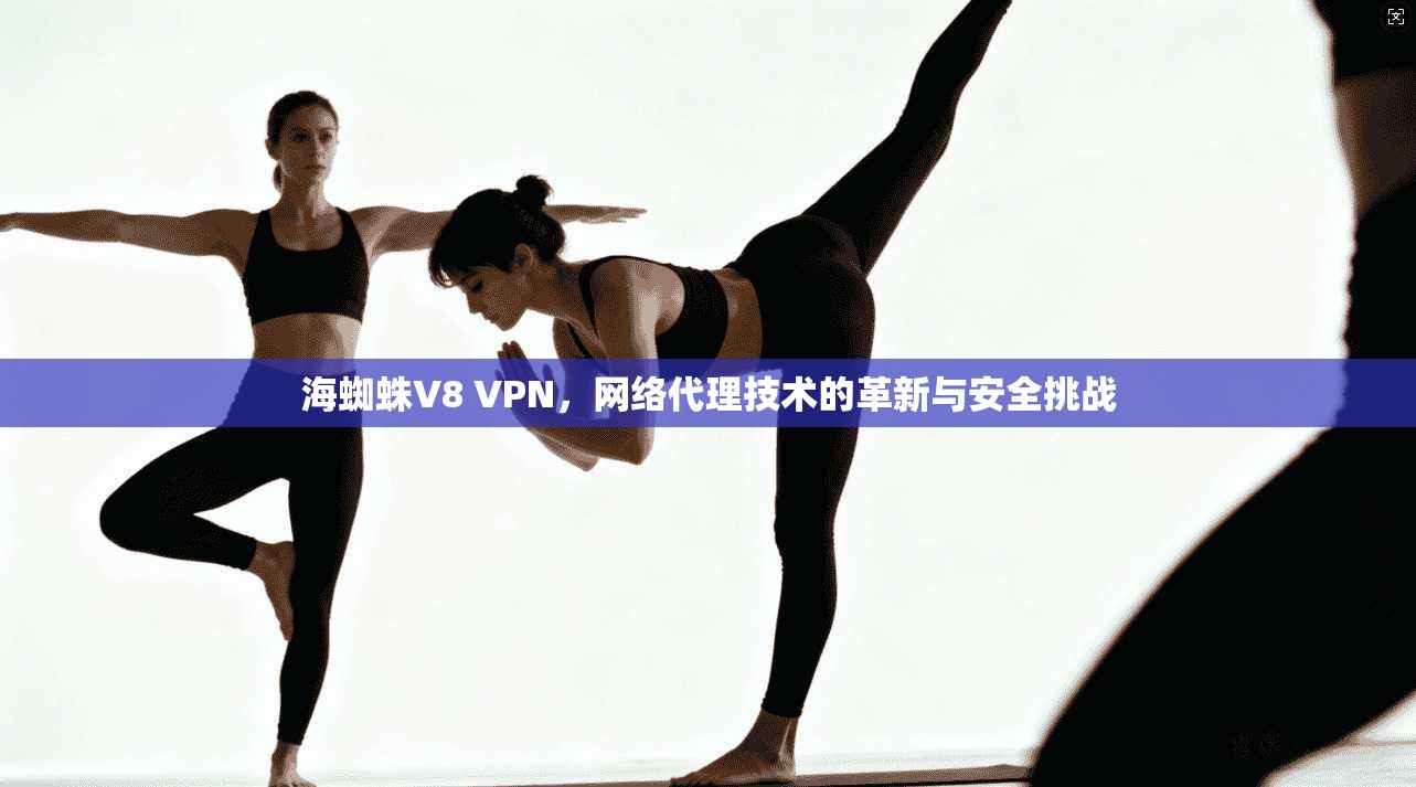 海蜘蛛V8 VPN，网络代理技术的革新与安全挑战