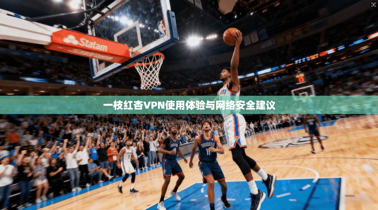 一枝红杏VPN使用体验与网络安全建议