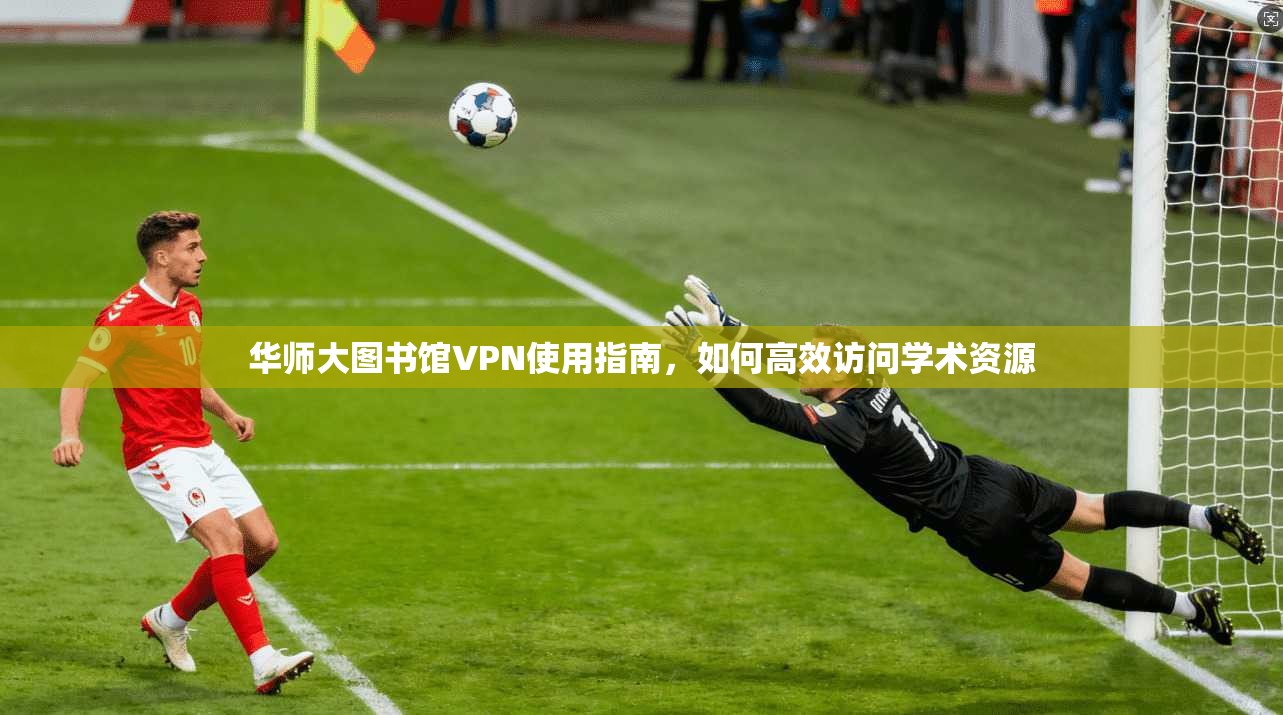 华师大图书馆VPN使用指南，如何高效访问学术资源