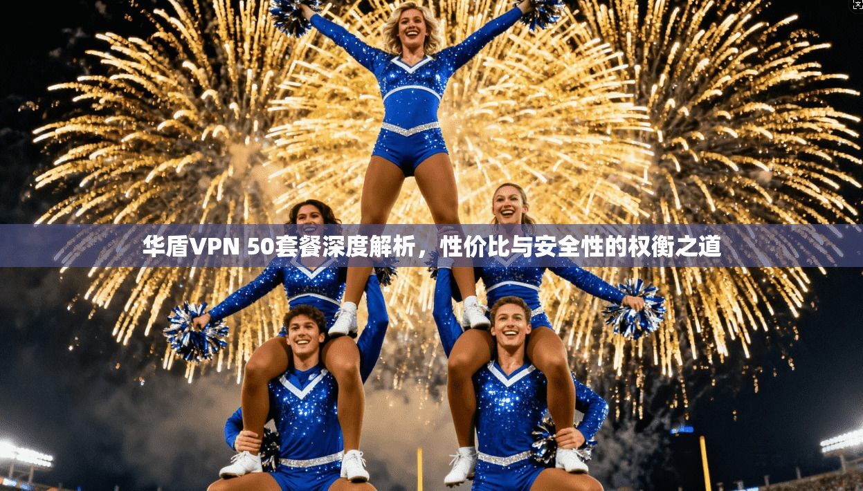 华盾VPN 50套餐深度解析，性价比与安全性的权衡之道
