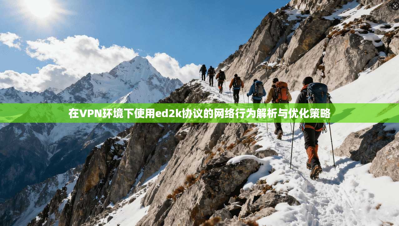 在VPN环境下使用ed2k协议的网络行为解析与优化策略