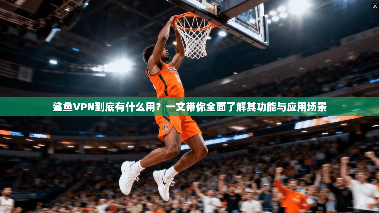 鲨鱼VPN到底有什么用？一文带你全面了解其功能与应用场景