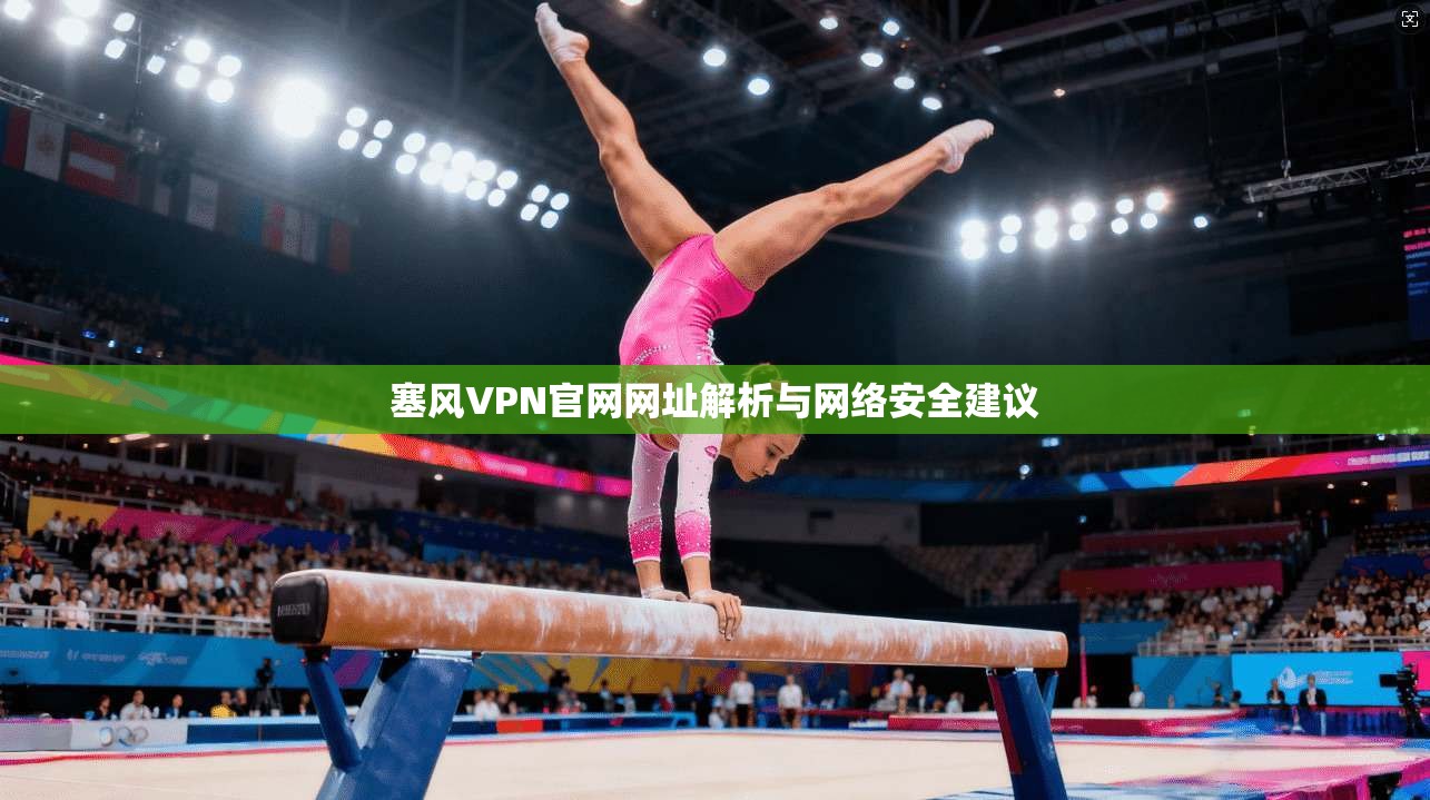 塞风VPN官网网址解析与网络安全建议