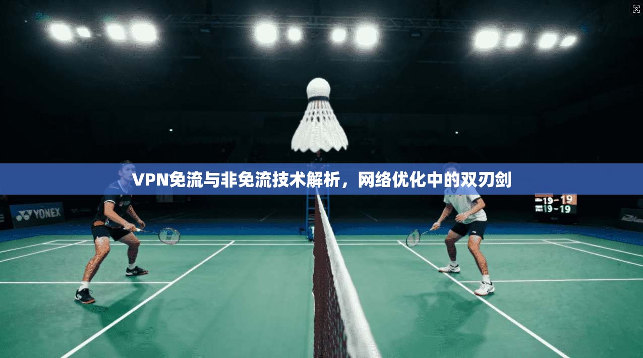 VPN免流与非免流技术解析，网络优化中的双刃剑