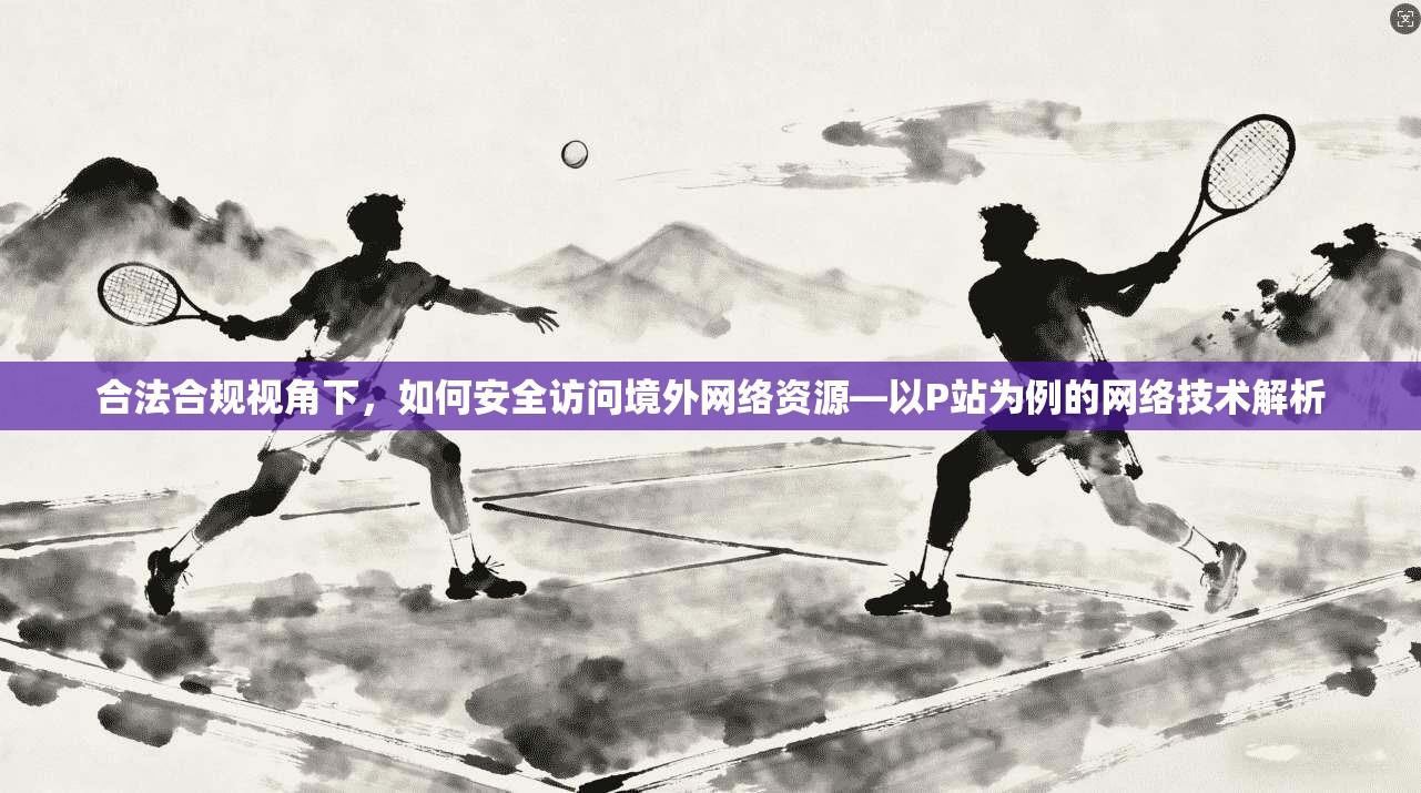 合法合规视角下，如何安全访问境外网络资源—以P站为例的网络技术解析