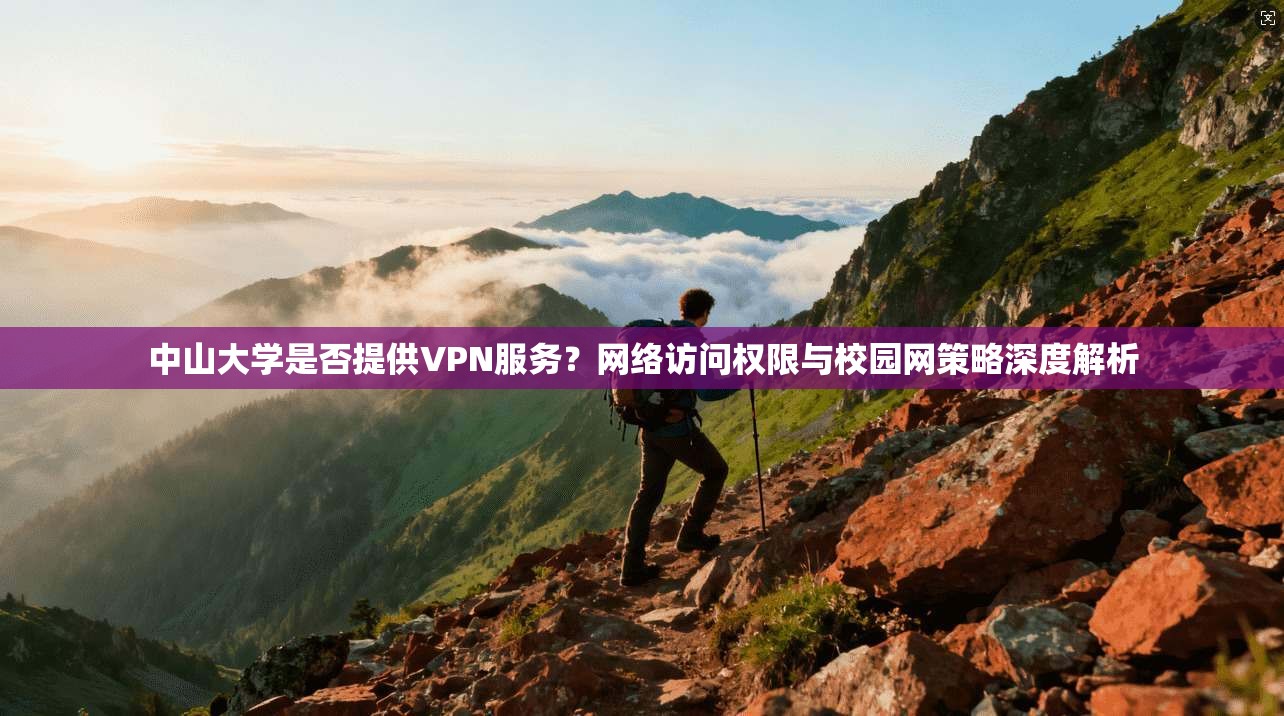 中山大学是否提供VPN服务？网络访问权限与校园网策略深度解析